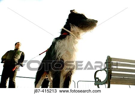 Man View Large Photo Image Stock Image - Man. Fotosearch
