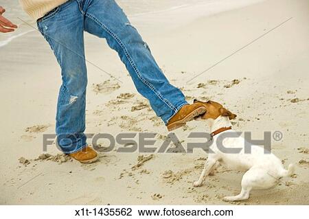 Stock Image - Man.. Fotosearch