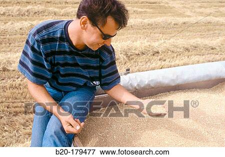 Man View Large Photo Image Stock Photo - Man. Fotosearch