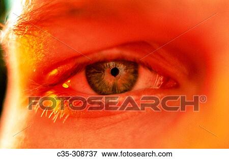 Man View Large Photo Image Stock Photo - Man. Fotosearch