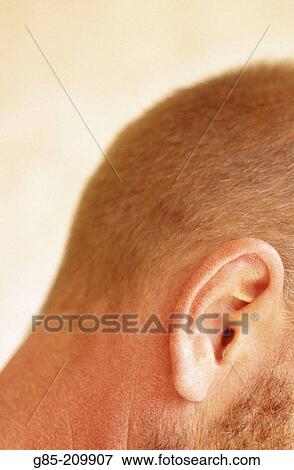 Man View Large Photo Image Stock Photo - Man. Fotosearch