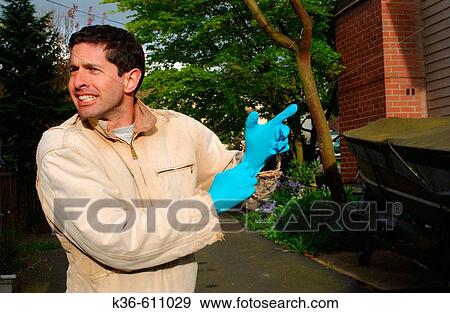 Man View Large Photo Image Stock Photo - Man. Fotosearch