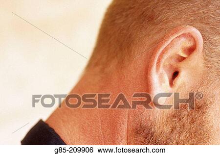 Man View Large Photo Image Stock Photograph - Man. Fotosearch