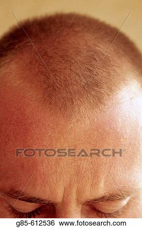 Man View Large Photo Image Stock Photograph - Man. Fotosearch