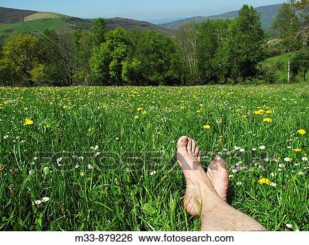 Man View Large Photo Image Stock Photograph - Man. Fotosearch