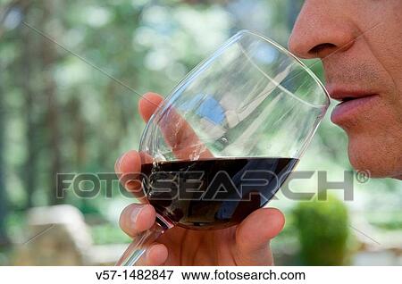 Man tasting red wine. Close view. View Large Photo Image Stock Photo - Man tasting red wine. Close view.. Fotosearch