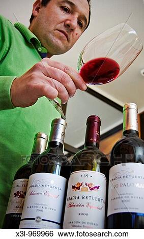 Man tasting wine View Large Photo Image Stock Photograph - Man tasting wine. Fotosearch