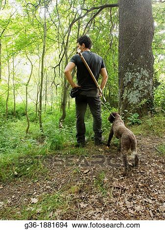 Man truffle hunting with dog in Portico de Romagna, Emilia-Romagna, Italy. View Large Photo Image Picture - Man truffle hunting with dog in Portico de Romagna, Emilia-Romagna, Italy.. Fotosearch
