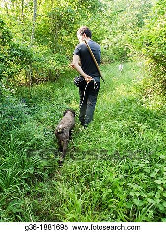 Stock Photography - Man truffle hunting with dog in Portico de Romagna, Emilia-Romagna, Italy.. Fotosearch