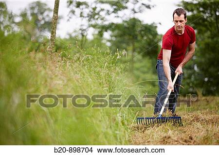Man using rake, hand tool, farming, Guipuzcoa, Basque Country, Spain View Large Photo Image Picture - Man using rake, hand tool, farming, Guipuzcoa, Basque Country, Spain. Fotosearch