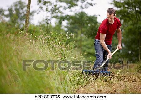 Man using rake, hand tool, farming, Guipuzcoa, Basque Country, Spain View Large Photo Image Stock Photography - Man using rake, hand tool, farming, Guipuzcoa, Basque Country, Spain. Fotosearch