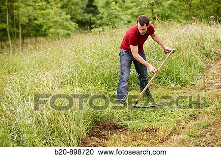 Stock Image - Man using scythe, hand tool, farming, Guipuzcoa, Basque Country, Spain. Fotosearch