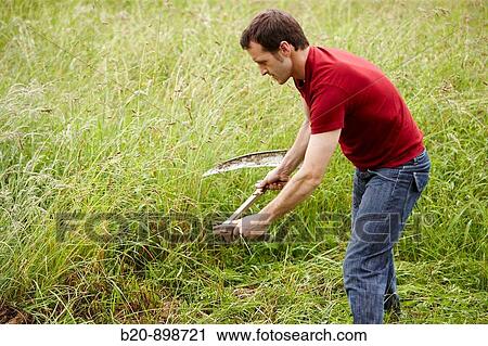 Man using scythe, hand tool, farming, Guipuzcoa, Basque Country, Spain View Large Photo Image Stock Image - Man using scythe, hand tool, farming, Guipuzcoa, Basque Country, Spain. Fotosearch