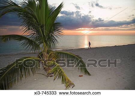 Man walking along beach at sunset, Trinidad, Sancti Spiritus Province, Cuba View Large Photo Image Stock Image - Man walking along beach at sunset, Trinidad, Sancti Spiritus Province, Cuba. Fotosearch