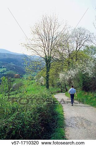 Man walking along the path to Santa Cristina de Lena church. Asturias, Spain. View Large Photo Image Stock Image - Man walking along the path to Santa Cristina de Lena church. Asturias, Spain.. Fotosearch