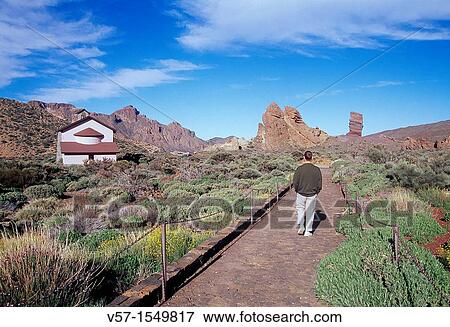 Stock Photo - Man walking along the path to Virgen de las Nieves chapel. Teide National Park, Tenerife island, Canary Islands, Spain.. Fotosearch