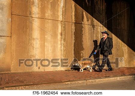 Man walking his dog on brick sidewalk with a concrete wall behind him View Large Photo Image Picture - Man walking his dog on brick sidewalk with a concrete wall behind him. Fotosearch