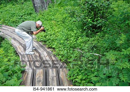 Man walks on trail in Tettegouche State Park Baptism River Recreation Area North Shore Lake Superior Minnesota View Large Photo Image Stock Image - Man walks on trail in Tettegouche State Park Baptism River Recreation Area North Shore Lake Superior Minnesota. Fotosearch