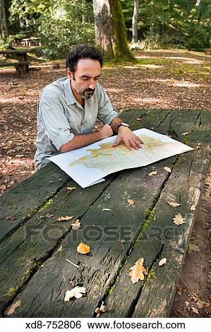 Man watching a map in a wooden table in a beech forest (Fagus sylvatica), Cabuerniga valley, Saja-Besaya Natural Park, Cantabria, Spain View Large Photo Image Stock Photograph - Man watching a map in a wooden table in a beech forest (Fagus sylvatica), Cabuerniga valley, Saja-Besaya Natural Park, Cantabria, Spain. Fotosearch