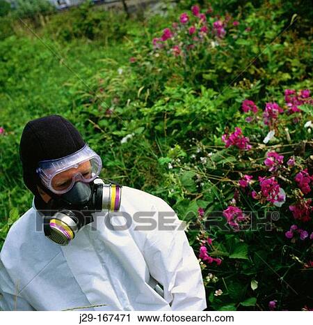 Man wearing a respiratory mask for organic vapors like asbestos, dust and particulate aerosols View Large Photo Image Stock Image - Man wearing a respiratory mask for organic vapors like asbestos, dust and particulate aerosols. Fotosearch