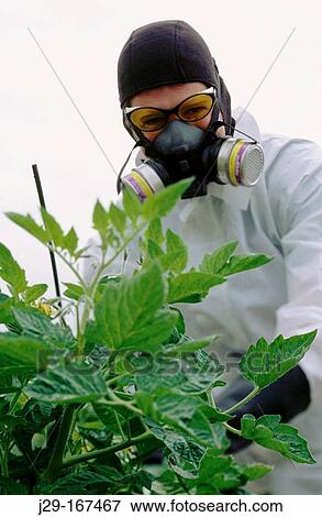 Stock Photo - Man wearing a respiratory mask for organic vapors like asbestos, dust and particulate aerosols. Fotosearch