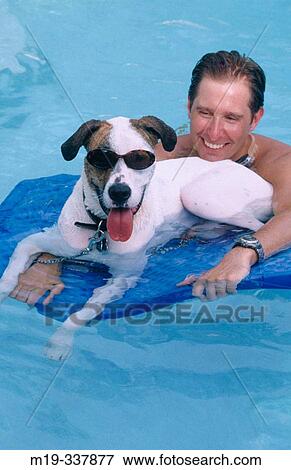 man with funny dog in the pool View Large Photo Image Stock Photo - man with funny dog in the pool. Fotosearch