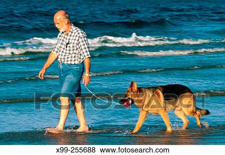 Man with german shepperd dog at marine parade. Durban. Kwazulu Natal province. South Africa View Large Photo Image Stock Photo - Man with german shepperd dog at marine parade. Durban. Kwazulu Natal province. South Africa. Fotosearch