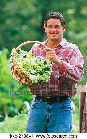 Man with his basket of lettuce View Large Photo Image Stock Image - Man with his basket of lettuce. Fotosearch
