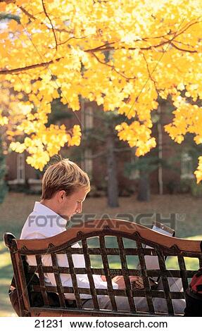 Man with laptop in park View Large Photo Image Stock Image - Man with laptop in park. Fotosearch