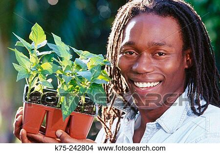 Man with pepper plants View Large Photo Image Picture - Man with pepper plants. Fotosearch