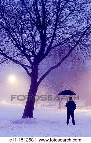 man with umbrella, winter fog with trees at night, Biggin Hill, Kent, England, UK, Europe View Large Photo Image Stock Image - man with umbrella, winter fog with trees at night, Biggin Hill, Kent, England, UK, Europe. Fotosearch