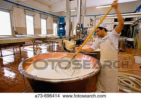 Man working at Caseificio Sociale Cooperativo di Borgotaro (producer Parmigiano-Reggiano cheese), Borgo Val di Taro. Emilia-Romagna, Italy View Large Photo Image Picture - Man working at Caseificio Sociale Cooperativo di Borgotaro (producer Parmigiano-Reggiano cheese), Borgo Val di Taro. Emilia-Romagna, Italy. Fotosearch