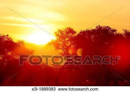 Mana Pool National Park Zimbabwe View Large Photo Image Stock Image - Mana Pool National Park Zimbabwe. Fotosearch
