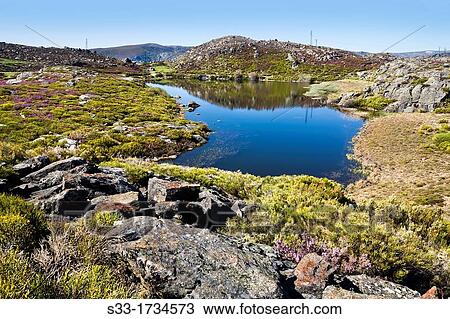 Mancas lagoon in the Sanabria Natural Park Zamora Castilla Le? n Spain View Large Photo Image Stock Image - Mancas lagoon in the Sanabria Natural Park Zamora Castilla Le? n Spain. Fotosearch