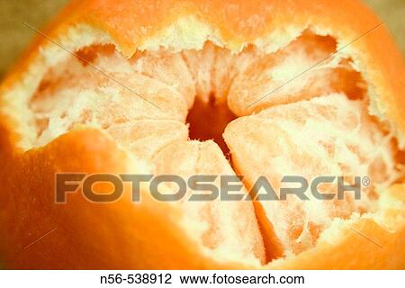 Mandarin View Large Photo Image Stock Image - Mandarin. Fotosearch