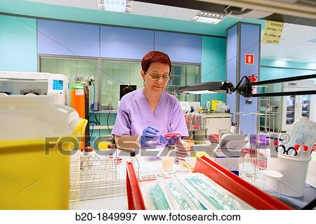 Stock Photo - Mandi, Vaginal specimens, Microbiology Department, Donostia Hospital, San Sebastian, Donostia, Gipuzkoa, Basque Country, Spain. Fotosearch