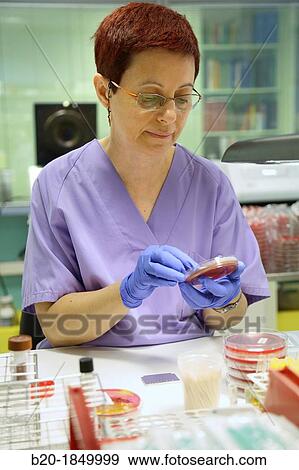 Stock Photo - Mandi, Vaginal specimens, Microbiology Department, Donostia Hospital, San Sebastian, Donostia, Gipuzkoa, Basque Country, Spain. Fotosearch