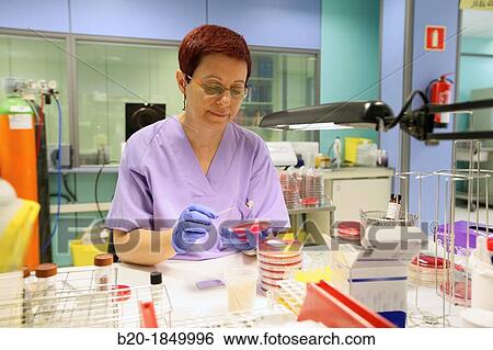 Mandi, Vaginal specimens, Microbiology Department, Donostia Hospital, San Sebastian, Donostia, Gipuzkoa, Basque Country, Spain View Large Photo Image Stock Photograph - Mandi, Vaginal specimens, Microbiology Department, Donostia Hospital, San Sebastian, Donostia, Gipuzkoa, Basque Country, Spain. Fotosearch