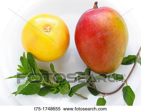 Mango, grapefruit and mint leaves View Large Photo Image Stock Photography - Mango, grapefruit and mint leaves. Fotosearch