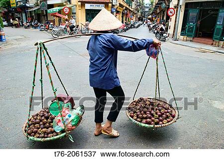 Mangosteen vendor carries her load through Hanoi, Vietnam. View Large Photo Image Stock Photo - Mangosteen vendor carries her load through Hanoi, Vietnam.. Fotosearch