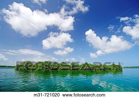 Stock Image - Mangroves at Bastimentos marine Park, Bocas del Toro islands, Rep. of PanamB, Central America. 2005. Fotosearch