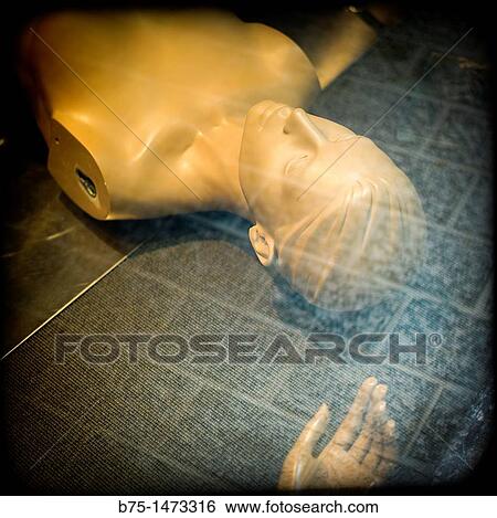 Mannequin View Large Photo Image Stock Photograph - Mannequin. Fotosearch