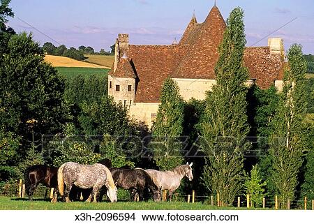 Manoir de Courboyer, Visitors Centre of the Regional Natural Park of Perche, Orne department, Lower Normandy region, France, Western Europe. View Large Photo Image Picture - Manoir de Courboyer, Visitors Centre of the Regional Natural Park of Perche, Orne department, Lower Normandy region, France, Western Europe.. Fotosearch