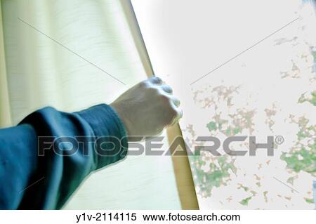 Stock Photography - Man's hand pulling back a window curtain.. Fotosearch