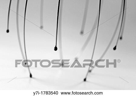 Manual head massager, metal head scratcher View Large Photo Image Stock Image - Manual head massager, metal head scratcher. Fotosearch