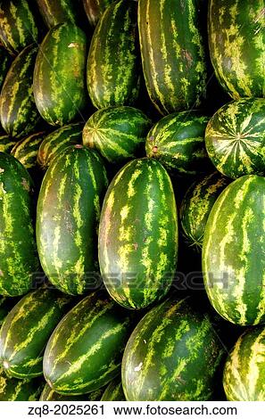Stock Image - Many big sweet green watermelons and one cut watermelon.. Fotosearch