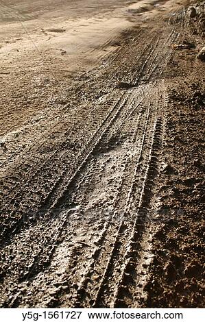 Stock Photo - many tyre tracks crossing in mud in field in countryside. Fotosearch
