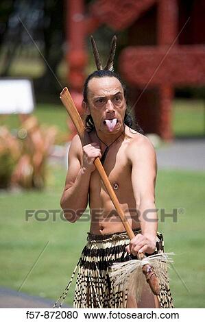 Maori, Haka, New Zealand View Large Photo Image Stock Image - Maori, Haka, New Zealand. Fotosearch