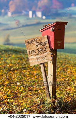 Maple Syrup For Sale sign, Jenne Farm, Vermont, USA View Large Photo Image Stock Photo - Maple Syrup For Sale sign, Jenne Farm, Vermont, USA. Fotosearch
