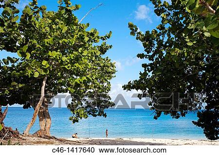 Maria la Gorda beach, Pinar del R? o province, Cuba View Large Photo Image Stock Image - Maria la Gorda beach, Pinar del R? o province, Cuba. Fotosearch